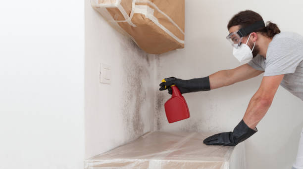 Professional Crawl Space Mold Removal technician working in Wood-Ridge, NJ
